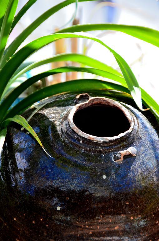 Lvis Boutique Hotel Male Ngoại thất bức ảnh